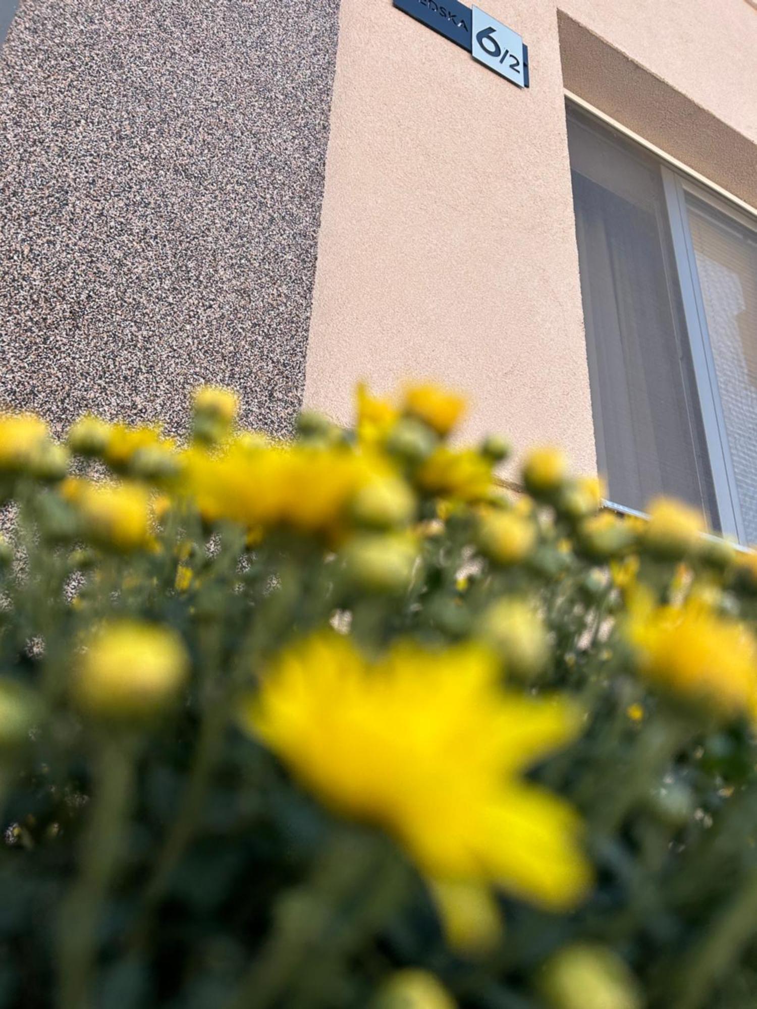 Apartman Tara Subotica Exteriör bild